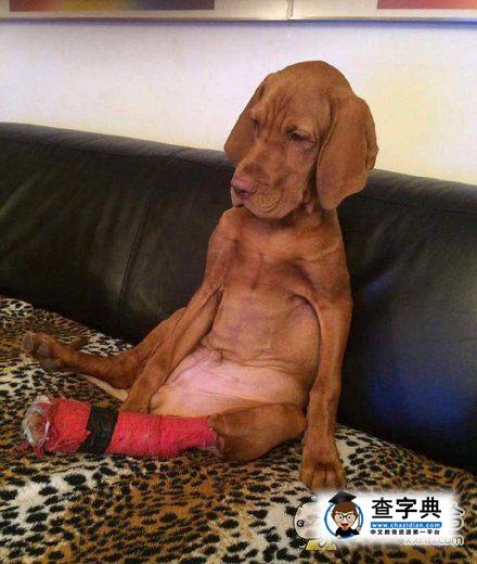 查当年受伤或不受伤手沿着灼伤被红牌