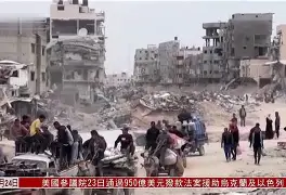 雷恩纳绿卡暴力冲突,罚款禁赛待定 雷恩纳绿卡暴力冲突,罚款禁赛待定